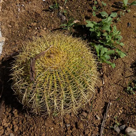 Villa Richgood Luxury Homes - Zefira Mare Altavilla Milicia