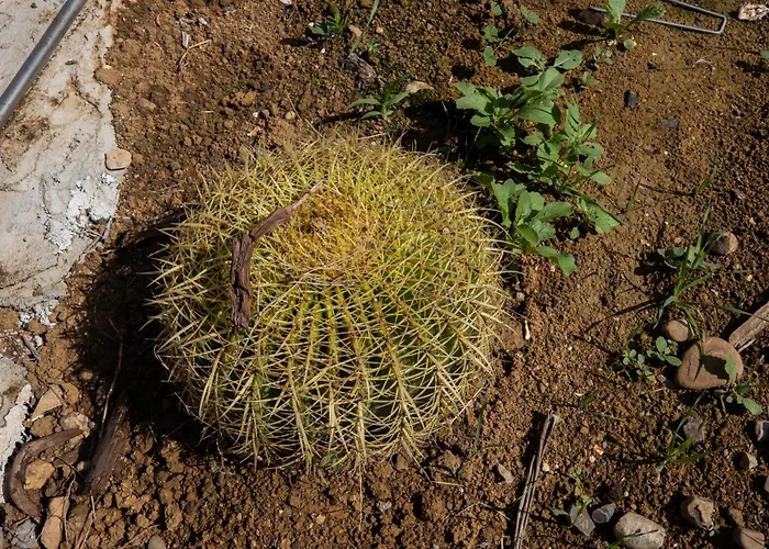 Villa Richgood Luxury Homes - Zefira Mare Altavilla Milicia