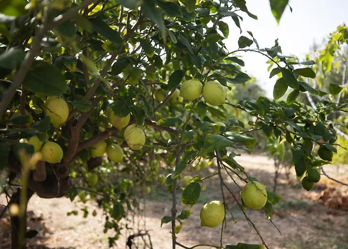 Richgood Luxury Homes - Zefira Mare Altavilla Milicia