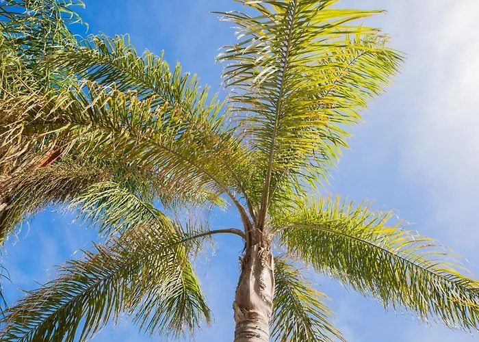 Richgood Luxury Homes - Zefira Mare *